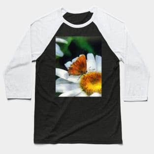 Skipper on a Daisy Baseball T-Shirt